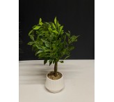 مركن ورد 0029