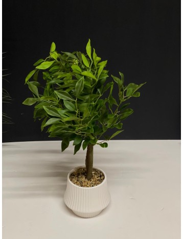 مركن ورد 0029