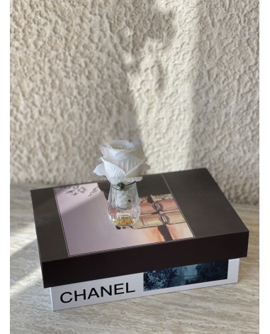 فازه بورد ميني 005