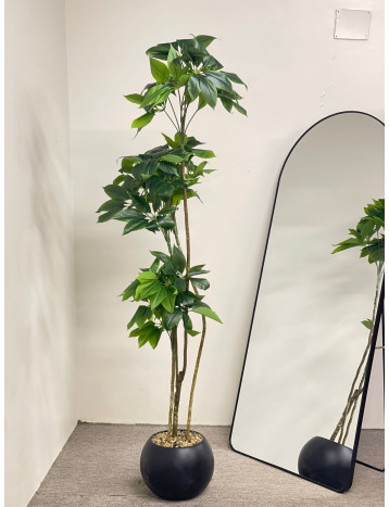 شجره باشير مقاس 1.95