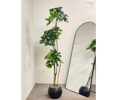 شجره باشير مقاس 1.95