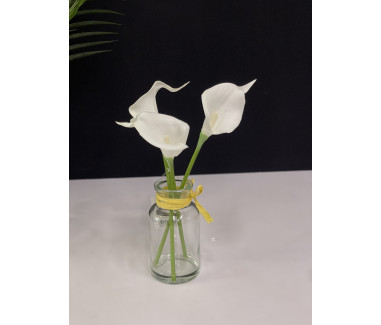 فازه ورد 015