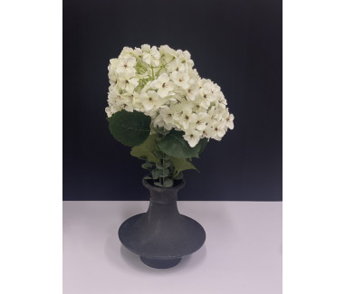 فازة ورد 009
