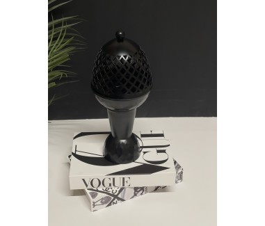 مبخره اسود كبير 