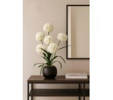 مركن بورد ابيض 016