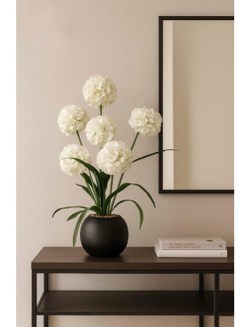 مركن بورد ابيض 016