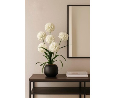 مركن بورد ابيض 016