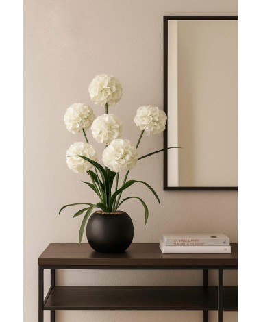 مركن بورد ابيض 016