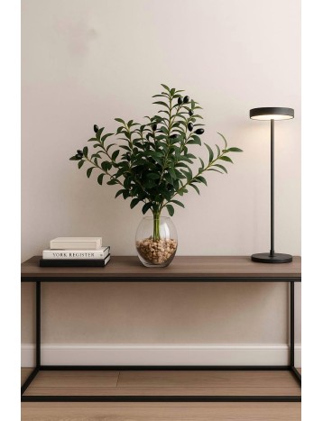 شجره زيتون بفازه شفاف