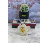 مبخرة كريستال بلوري