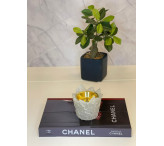 مبخرة الفراشة