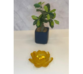 مبخرة الوردة