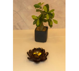 مبخرة الوردة