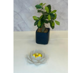 مبخرة الوردة