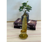 مبخرة الريشة