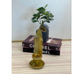 مبخرة الريشة