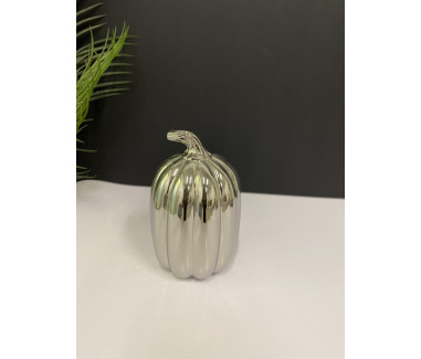 فازة فضي 02