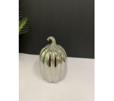 فازة فضي 03